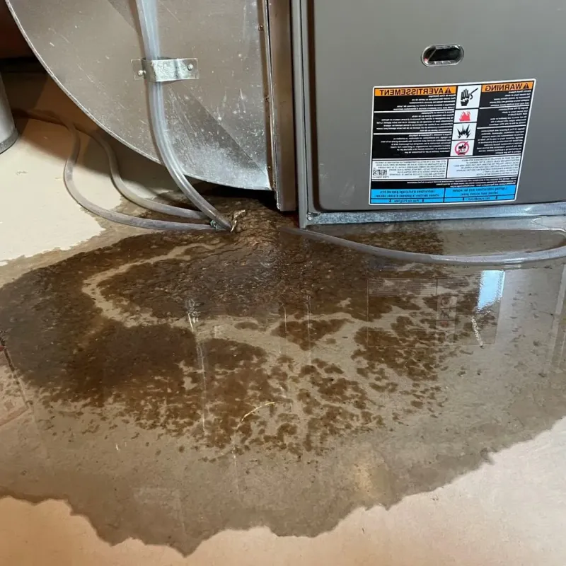 Pipe Burst and Leak Restoration in Simi Valley, CA